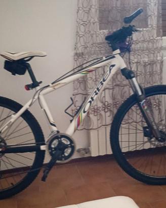 Orbea MTB Front