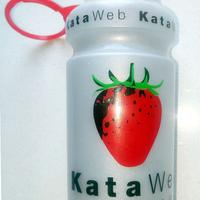 Gadget borraccia KataWeb da mezzo litro collezione