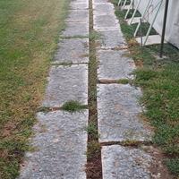 Pietre per camminamento 