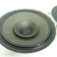 altoparlanti 250 mm