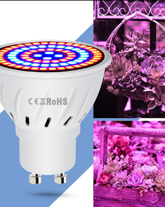 Luce crescita piante idroponica