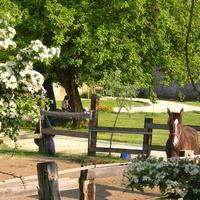 Ospitalità e Cavalli in Ossola