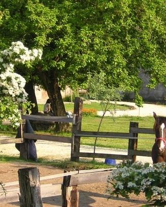 Ospitalità e Cavalli in Ossola