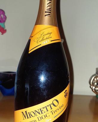 Bottiglie varie (vini spumanti)