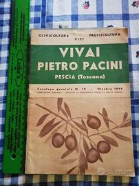 Vivai Pietro Pacini Pescia catalogo ott.1950