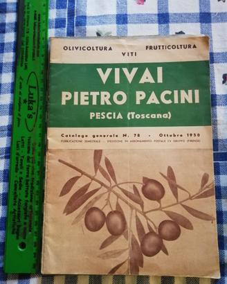 Vivai Pietro Pacini Pescia catalogo ott.1950