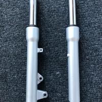 Steli Forcelle Piaggio