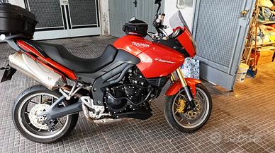 Triumph Tiger - 2008