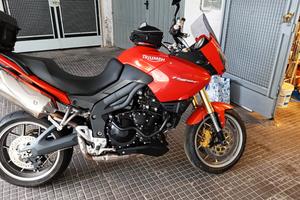 Triumph Tiger - 2008