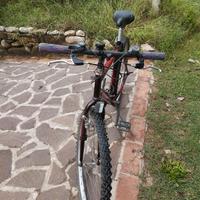 Mountain bike 