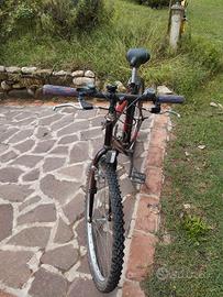 Mountain bike 