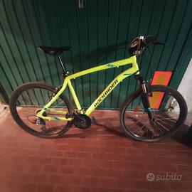 Bicicletta Mountain bike