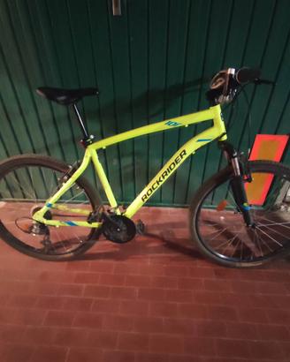 Bicicletta Mountain bike