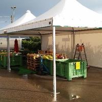 Gazebo in pvc prof. 4 x 4 m, ferro zincato pesante