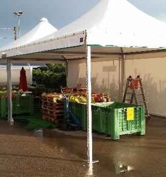 Gazebo in pvc prof. 4 x 4 m, ferro zincato pesante