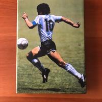 Quadro di Maradona