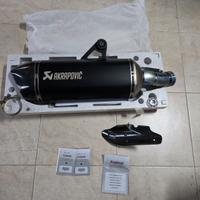 Akrapovic BMW R1200/1250 GS