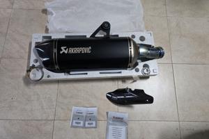 Akrapovic BMW R1200/1250 GS