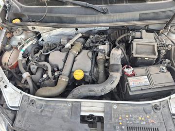 Dacia sanderio