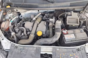 Dacia sanderio