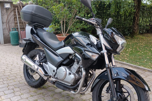 Suzuki GW 250 Inazuma