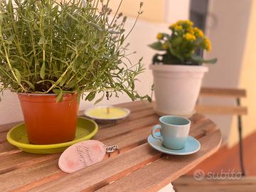 House Letizia Ercolano