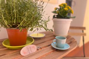 House Letizia Ercolano