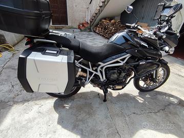 Triumph Tiger 800 - 2011