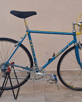 Masi Prestige