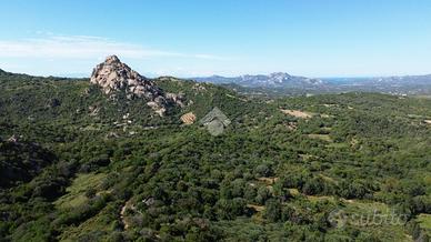 TER. AGRICOLO A OLBIA