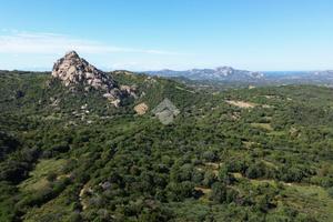 TER. AGRICOLO A OLBIA