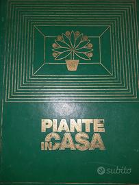 Piante in casa. Milano, Rizzoli, 1976