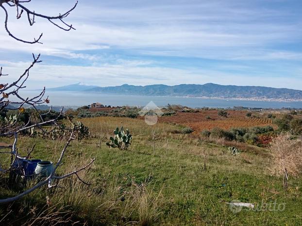 TER. AGRICOLO A REGGIO DI CALABRIA