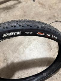 Maxxis Aspen 2.4 Maxx Speed