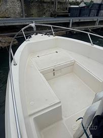 Barca Fish 17 + mercury 40 xr