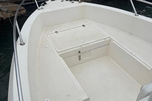 Barca Fish 17 + mercury 40 xr