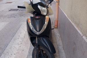 Sh 300 sport