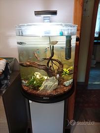 acquario completo 