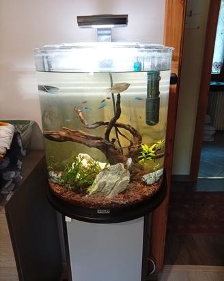acquario completo 