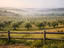 Immagine 10