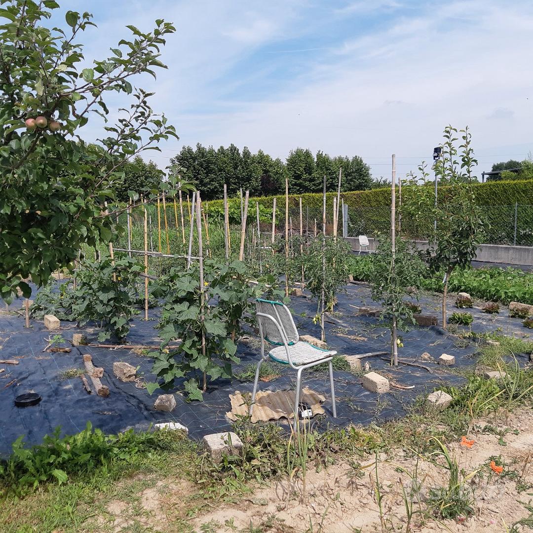 Terreno agricolo - Vista 2