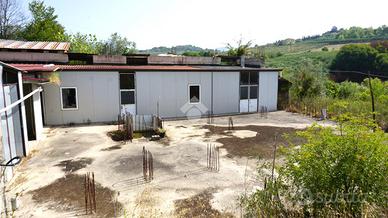 TER. AGRICOLO A MONTECORVINO PUGLIANO