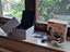 Immagine 1
