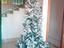 Immagine 5