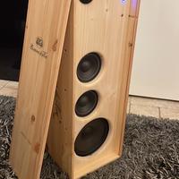 Cassa acustica 50+50w Bluetooth e aux