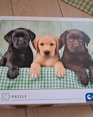 puzzle ravensburger 1000 pezzi