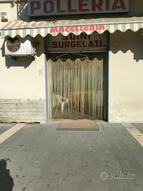 ttività storica macelleria e polleria 