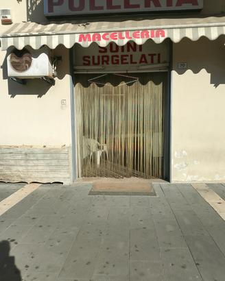 ttività storica macelleria e polleria 
