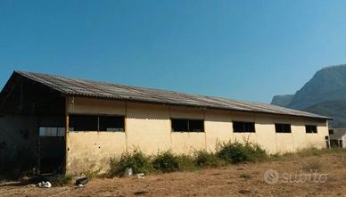 Ampio terreno con strutture produttive