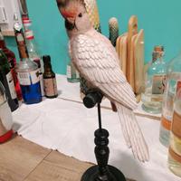 Pappagallino  vintege  su trespolo in legno